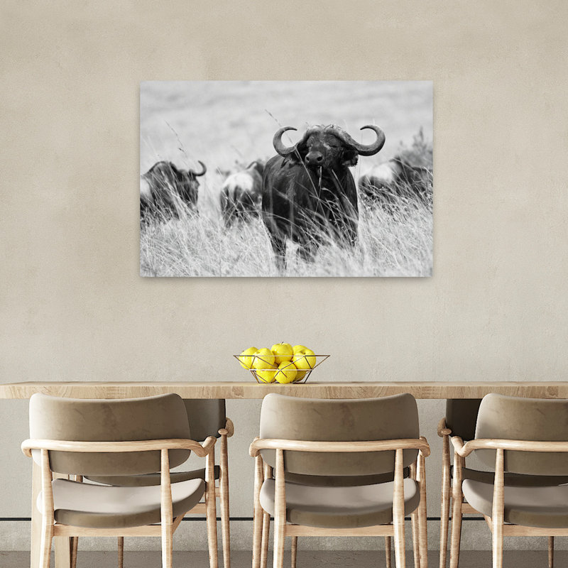 «Monkey Buffalo Stare», art mural contemporain, 24" H x 36" W