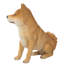 Statue Shiba Inu assise