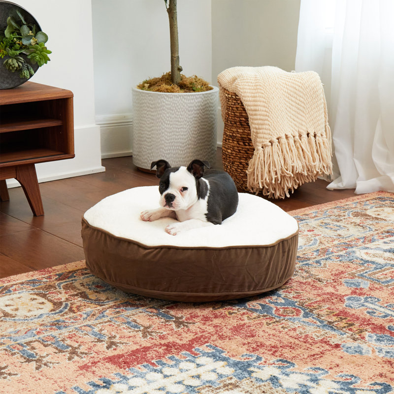 Lit pour chien Alyzae, Latte, Petit (l 30 po x P 30 po x H 5 po)