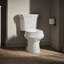 Wellworth® 1.28 GPF Water Efficient Round Two-Piece Toilet (Seat Not Included)-101432687-10979861