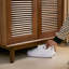 Rangement à chaussures tendance et tendance