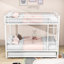 Lit superposé double au-dessus de double avec lit gigogne simple-1162892186