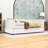 2 Drawers Upholstered Twin Daybed with Sturdy Slats-947352154