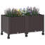 Elevated Planter-166660450-166660451