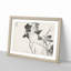 Grey Starling with White Lotus Flowers by Numata Kashu - Picture Frame Painting Print-55736122-55736124