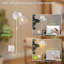 Delanya Plug-in Wallchiere-1852895952