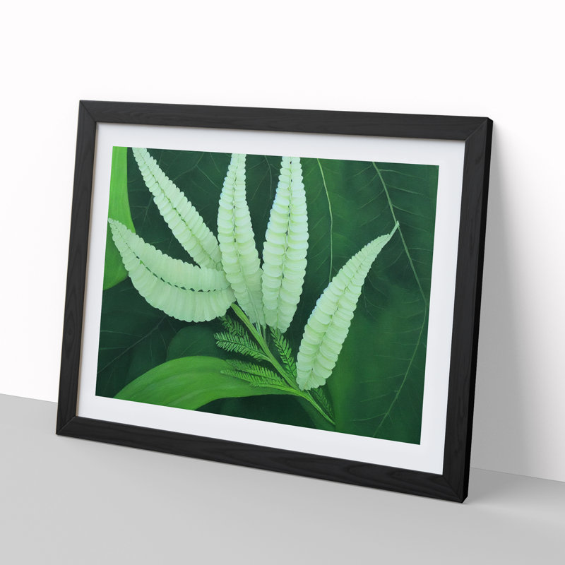 Imaginative Fern Leaf - Single Picture Frame Print, Black, 25cm H x 34cm W x 2cm D
