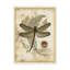 « regal libellule i », reproduction d’impression sur toile tendue-33418108