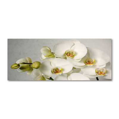 White Orchid - Wrapped Canvas Print