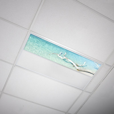 Beach Rectangle Fixture Component Ceiling Light