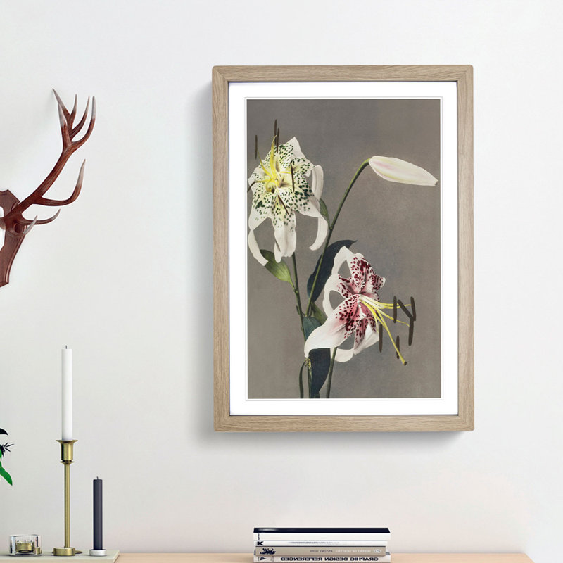 Three White Lilies by Kazumasa Ogawa - Picture Frame Painting Print, Oak Framed, 36cm H x 27cm W x 2cm D