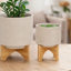 Ensemble de 2 jardinières d'intérieur sur support en bois brun naturel, céramique grise de 12 pouces-122359449