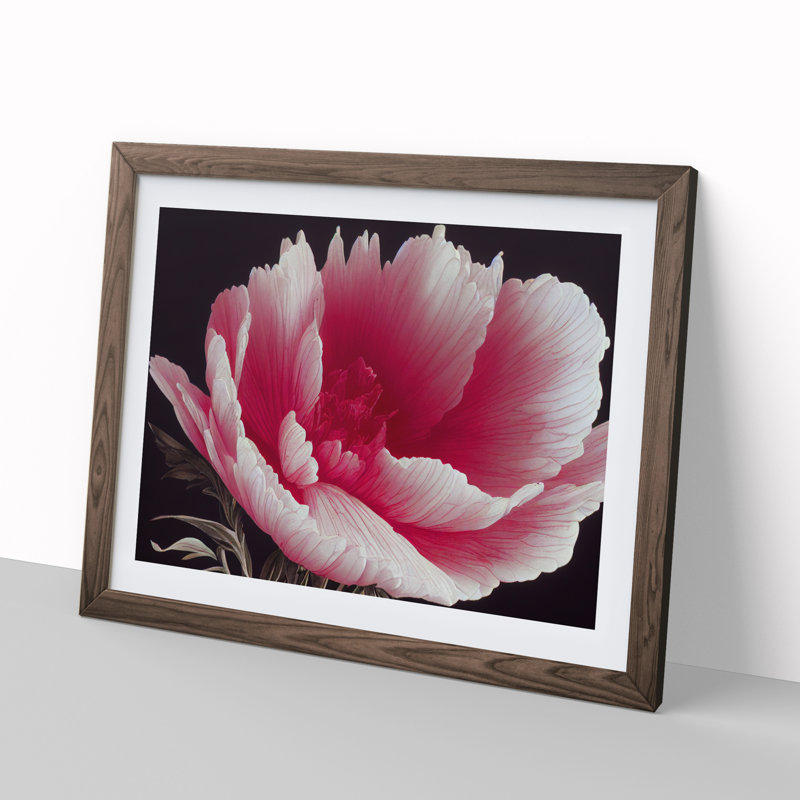 Admirable Carnation Flower 1 Piece Single Picture Frame Wall Art, 46cm H x 64cm W x 2cm D, Walnut