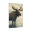Aaroon Single Picture Frame Print on Canvas-1862118572