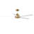 Isobel 60'' Ceiling Fan with LED Lights