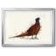 Pheasant Splash 4-FramedFramed Print W Beveled Matt and Glass-2146860324-2146860321