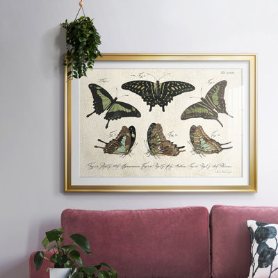 «Crackled Butterflies II», reproduction d'art encadrée