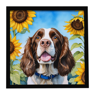 English Springer Spaniel in Sunflowers Framed Metal Print