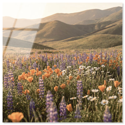 Lavender Hill Print by Oliver Gal