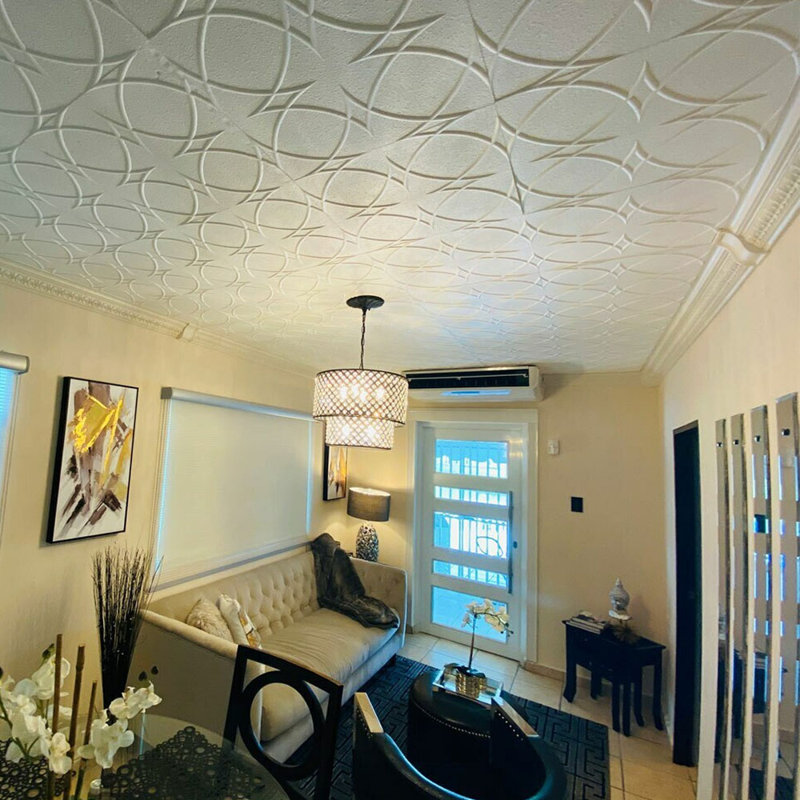 Circles and Stars 1.6 ft. x 1.6 ft. Polystyrene Glue-up Ceiling Tile, Plain White (Unpainted)