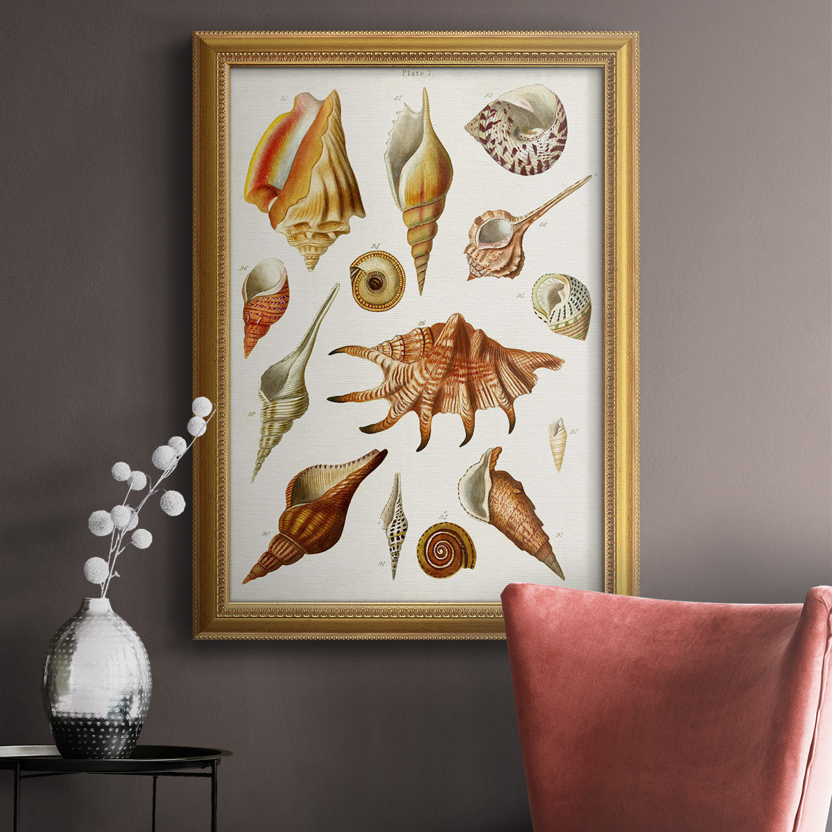 Framed Shell Collection Highland Dunes Antique Shell Collection II Premium Framed Canvas- Ready ...