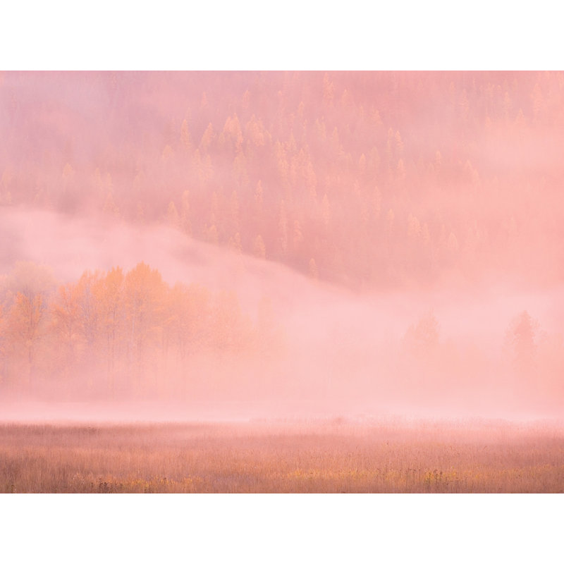 Foggy Autumn Light on Mountain par Bruce Heinemann, H 24 po x l 32 po, Toile tendue