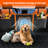 Dog Car Seat Cover For Back Seat-106459660