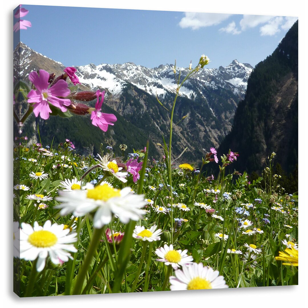 Leinwandbild Schöne Blumen auf einer Bergwiese