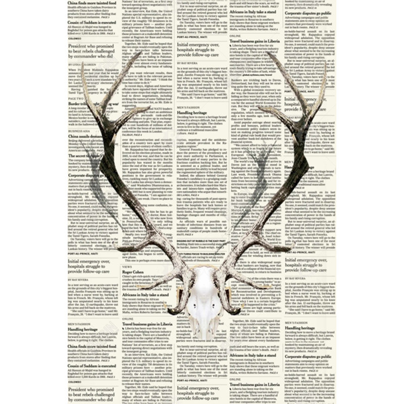Animaux, toile de cerf brun - cornes de cerf sur papier journal