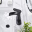 Waterfall Tap with Waste-1912240605