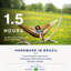 Paradiso Family Hammock