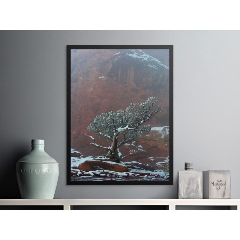 Conlin Single Picture Frame Print, 50.8 cm H x 40.64 cm W
