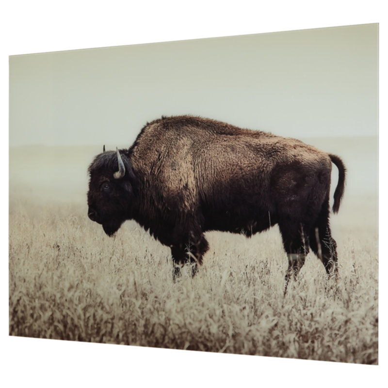 Brutus Wrapped Canvas Print