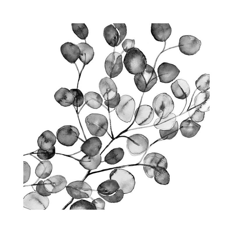 Eucalyptus Black And White by Monika Strigel - Painting on Canvas, Wrapped Canvas, 66.04cm H x 66.04cm W x 3.81cm D