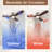 CEILING FANS LIGHT
