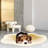 Alien Rugs，Cashmere Imitation Irregular Carpet Soft Fluffy Plush Anti-Slip Design Rugs Use for Living Room Bedroom Kitchen Entrance Floor Mat-1701027568