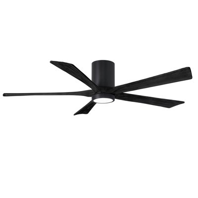 Irene Ceiling Fan with LED Light Kit