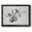 Limonero I, reproduction d'art sur toile-96286468-96286469