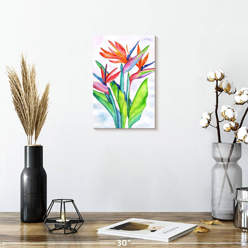Strelitzias Harnek, H 12 po x l 8 po
