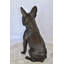 Statue de chien Boston Terrier heureux assis en bronze, taille: 7 po x 13 po x H 17 po