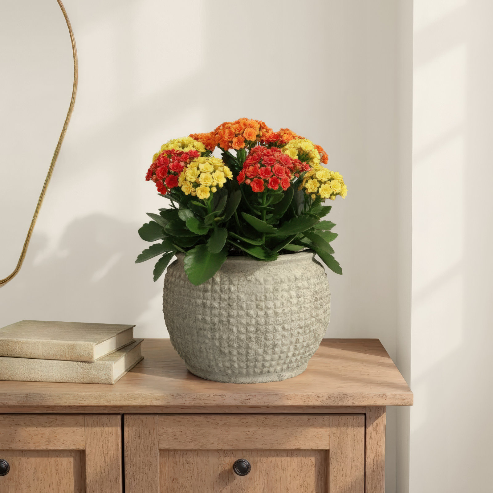 Enderby 15" Ceramic Pot Planter