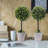 15.4'' Faux Boxwood Topiary in Wicker/Rattan Planter