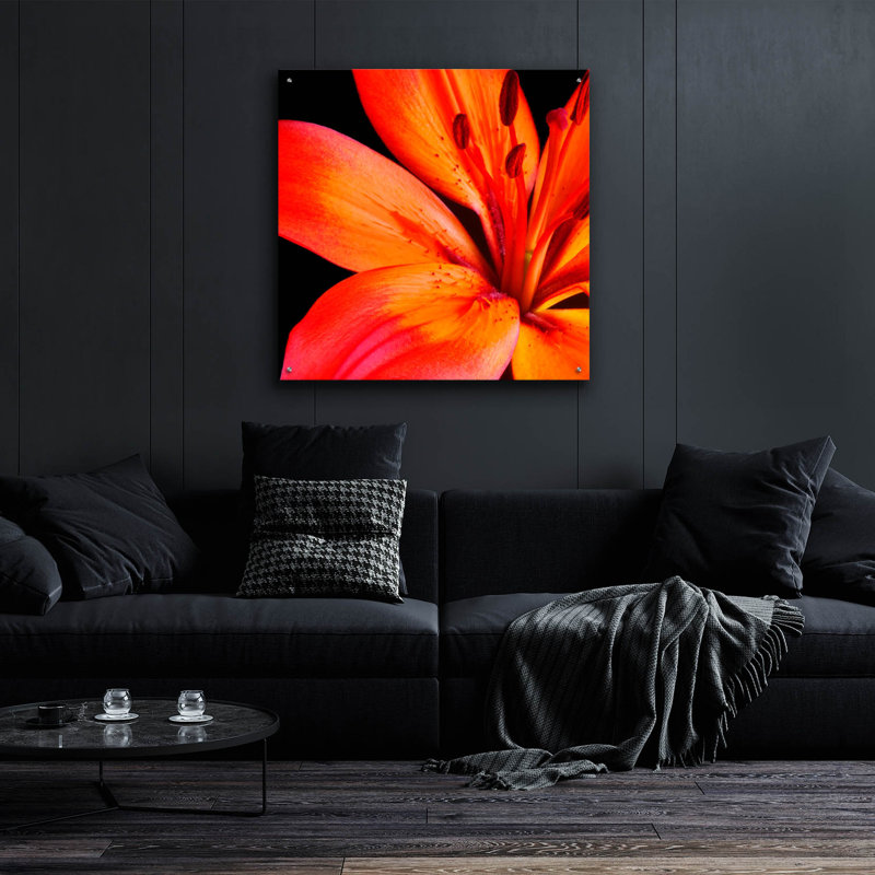 Epic Art «Orange Flower On Black 02» par Tom Quarte «Orange Flower On Black 02» par Tom Quartermaine