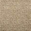 Chaumont Velvets De Blois Performance Fabric-1981501029