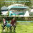 Double Beach Chair with Adjustable Canopy Oversized Folding Camping Chair Turquoise-1200060629