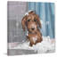 I Just Peed - Wrapped Canvas Painting-570907778