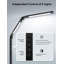Adrash Desk Lamp
