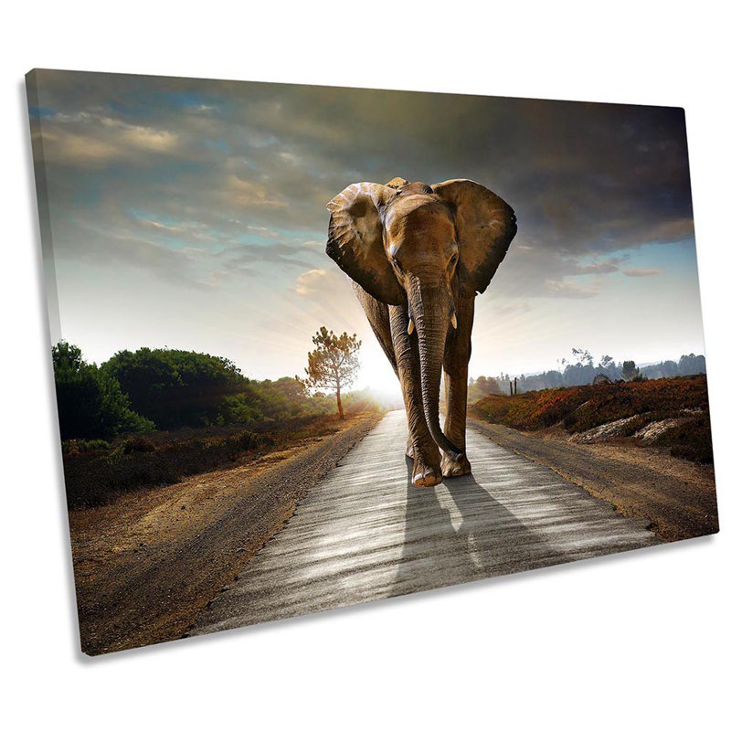 Elephant Road - Wrapped Canvas Print, 40.6cm H x 61cm W x 2cm D