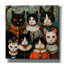  «Cat Familia In Ornate Attire» par Doron David, art mural sur toile, 18 po x 18 po-98689198