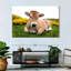 Adorable vache Aubrac-107701962